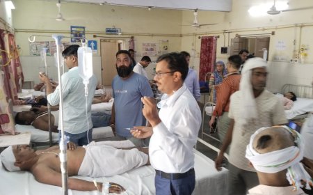 उदयपुरवाटी में महिला की मौत दाह संस्कार के लिए ले जाते समय रास्ते में मधुमक्खी ने किया हमला: दर्जनों लोग हुए घायल