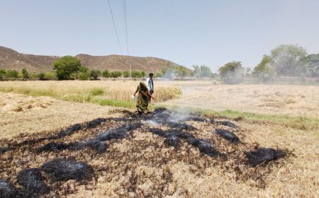 बिजली के तार में शॉर्टसर्किट से खेत में लगी आग: खेत में कटी गेहूं की फसल जली कोई जनहानि नहीं