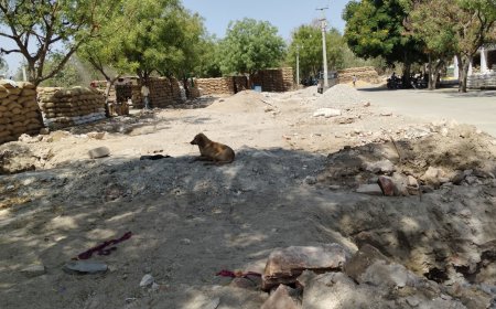 जहाजपुर कृषि उपज मंडी में अव्यवस्थाओं का अंबार, किसानों को हो रही भारी परेशानी