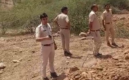 खातेदारी व अलॉटमेंट जमीन पर अवैध खनन, दबंगों ने निकाला क्वार्ट्ज पत्थर