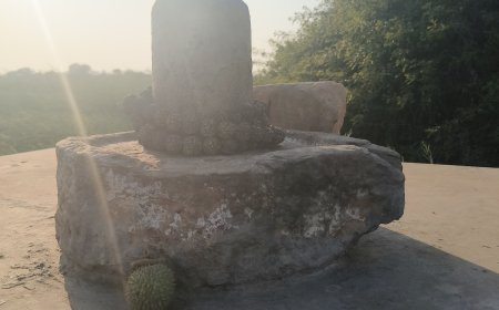 ग्राम मुर्रिका में सोलह गांवों  का विशाल भंडारा सोमवार 7 अप्रेल को होगा आयोजित