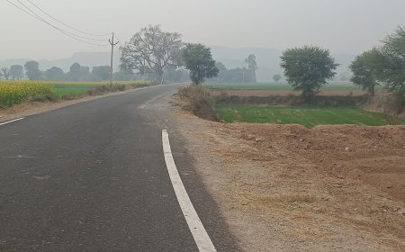 विधायक सुखवंत सिंह के निर्देश पर अटल प्रगति पथ योजना अंतर्गत अलावडा की क्षतिग्रस्त मार्गों का किया निरीक्षण
