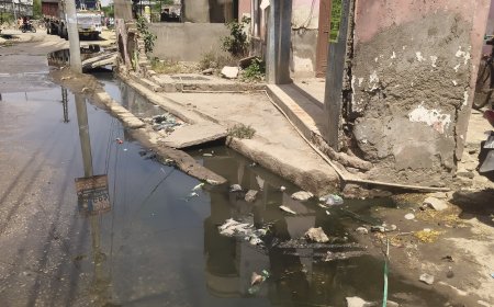 कस्बे के मालाखेड़ा रोड पर गंदे नाले का पानी  निकासी ना होने से आमजन परेशान