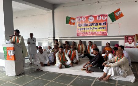 कारोई में सहाडा विधानसभा भाजपा का सक्रिय कार्यकर्ता सम्मेलन