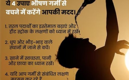 गर्मी/ लू-ताप की लहर के समय क्या करें और क्या ना करें - एड्वाइजरी जारी
