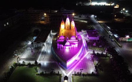 जहाजपुर में जहाजनुमा जिनालय ‘स्वस्तिधाम’ बना आस्था का अद्भुत प्रतीक, भगवान मुनिसुव्रतनाथ की प्राचीन प्रतिमा से शुरू हुई अध्यात्मिक यात्रा