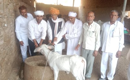 पचलंगी में मृत्यु भोज की जगह गोस्वामणी का हुआ आयोजन