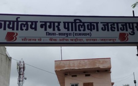 नगर पालिका में वार्ड पुनर्गठन बना सियासी रेवड़ियां बांटने का जरिया, विपक्ष की चुप्पी पर उठे सवाल