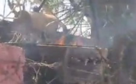 ट्रांसफॉर्मर में धमाके साथ हुआ ब्लास्ट:खेत का बाढ़ जला