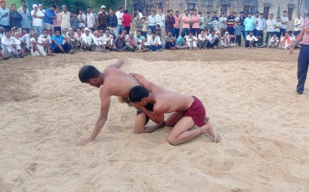 मंडावरा में गुल्ली जोड़ी बालाजी महाराज का भरा मेला