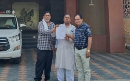 जहाजपुर नगर पालिका परिसीमन होगा दुबारा, जिला निर्वाचन अधिकारी ने दिए पुनः जांच के निर्देश