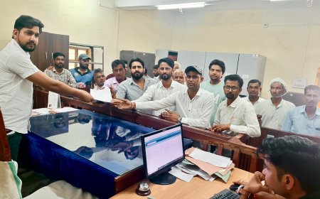 राजस्व ग्राम धनावता के लोगों ने मुख्यमंत्री के नाम उपखंड कार्यालय पर सौंप ज्ञापन