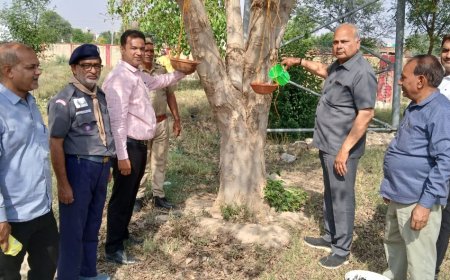 डॉ शशिकांत बोहरा ने एसडीएम मुख्यालय लगाएं परिंडे