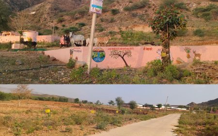 अरावली की तलहटी में बसा रमणीय पीरसंज्यानाथ गौशाला