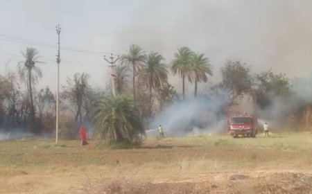 मेंटेनेंस के अभाव में आज फिर लगी आग, नींद से जागा निगम