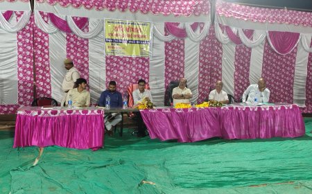 ग्राम पंचायत कौलगांव के रात्रि चौपाल में जिला कलक्टर ने सुनी ग्रामीणों की समस्याएं