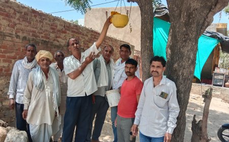 गर्मियों के मौसम में पशु पक्षियों की सेवा ही सबसे बड़ा धर्म-  यादव