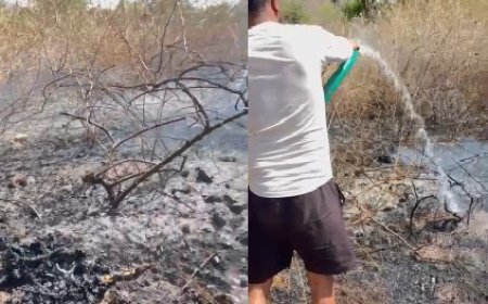 गुरला में अज्ञात कारणों से लगी झाड़ियों में आग ग्रामीणों ने बुझाई