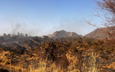 भोजगढ़ की पहाड़ियों में लगी आग: वन विभाग एवं स्थानीय ग्रामीणों द्वारा आग पर पाया गया काबू