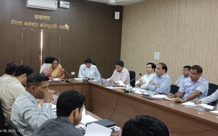 अधिकारी अपने दायित्वों का जिम्मेदारी से निर्वहन करते हुए बजट घोषणाओं का क्रियान्वयन समयबद्ध करें