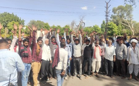 ग्राम पंचायत परिसीमन के विरोध में ग्रामीणों ने जताई नाराजगी:जिला कलेक्टर को सौंपा ज्ञापन