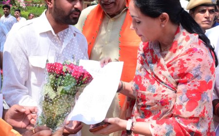 जनसुविधाओं के लिए उपमुख्यमंत्री को करवाया अवगत