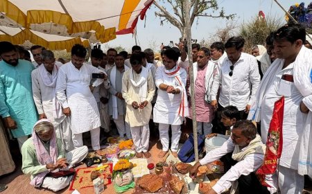 विधायक राजेंद्र मीणा ने बालाहेडा में कृषि महाविद्यालय की रखीआधारशिला