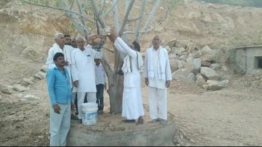 भावरिया की गर्मियों में पक्षियों के लिए परिंडे लगाने की मुहिम लाई रंग
