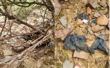 पिपरोली गांव के समीप पहाड़ पर मिला अज्ञात व्यक्ति का नर कंकाल