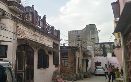 शहर की विभिन्न कालोनियों में वानर सेना का आतंक, परेशान हो रहे है लोग