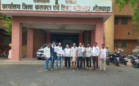 ग्राम दादिया के  ग्रामवासियों ने नवसृजित पंचायत बासडा में रखने का जिला कलेक्टर के नाम दिया ज्ञापन सौंपा