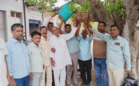 गर्मियों के मौसम को ध्यान में रखते हुए परिंडो में रोज डालें पानी दाना पानी की भी करें व्यवस्था- मदनलाल भावरिया