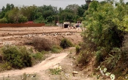 रोक के बावजूद अवैध रूप से सरकारी नाले पर निर्माण कार्य जारी