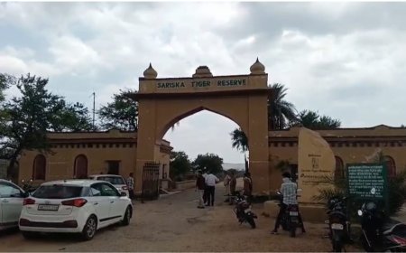 सरिस्का अभयारण्य क्षेत्र में पांडुपोल हनुमानजी मंदिर पर दुपहिया वाहनों का प्रवेश बंद रोडवेज बस सेवा शुरू