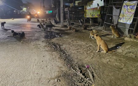 कस्बे मे आवारा  कुत्तों के आतंक से लोग परेशान
