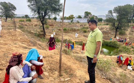 उपखंड अधिकारी ने मनरेगा कार्यों और पीएचसी का किया औचक निरीक्षण