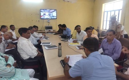 जिला कलक्टर ने किया वैर उपखंड का दौरा, आमजन की समस्याओं पर त्वरित समाधान कर दे राहत-जिला कलक्टर