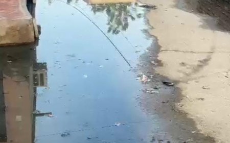 बहरोड नगर परिषद के वार्ड नंबर 5 स्थित जैतपुर मोहल्ले में नाले व नालियों की सफाई नही होने के कारण मुख्य सड़क पर जलभराव