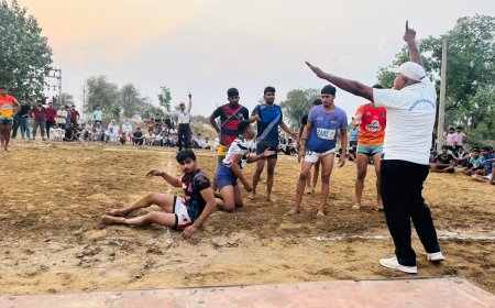 कब्बड्डी प्रतियोगिता में अलवर की टीम विजेता रही