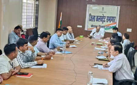 जिला कलक्टर ने की भीषण गर्मी के बीच जीव मात्र के हितार्थ कदम उठाने की अपील ,जिला स्तरीय बीमा समिति की बैठक का हुआ आयोजन