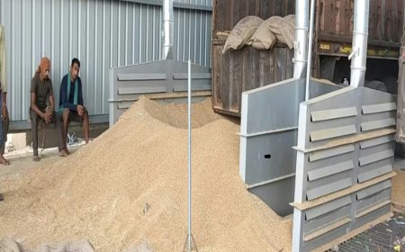 अलवर में खुला राजस्थान का पहला साइलो गेहूं भंडारण केंद्र