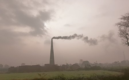 ईंट भट्टों की धुआं से घुटता दम ,अस्थमा व नेत्र रोग के बढ रहे मरीज