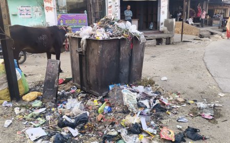 कस्बे में पानी निकासी के लिए बनाए गए नाले हुए अव्यवस्था का शिकार