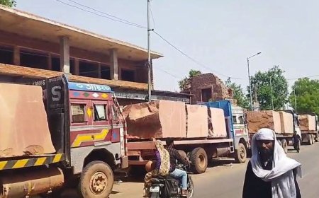 अवैध_खनन_परिवहन : वन विभाग की टीम की कार्यवाही, सैंड स्टोन से भरे 4 ट्रकों को जब्त