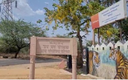 सरिस्का में नए सफारी रूट बनाए जाएंगे बाघों की साइटिंग होगी आसानी से