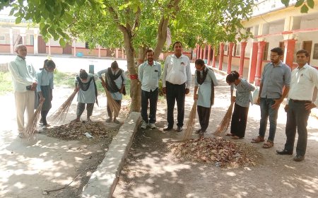 विधालय भवन का सौंदर्यकरण एवं सार्वजनिक स्थलों पर की साफ सफाई