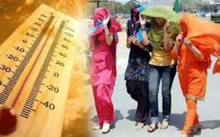 गर्मी ने तोड़ा रिकॉर्ड, नौतपा शुरू होने से पहले 44 डिग्री तक पहुंचा तापमान, प्रशासन ने दिए दिशा निर्देश