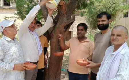 जिला कलेक्टर किशोर कुमार की अपील पर, विप्र कल्याण समिति ने पेंड़ो पर परिण्डें बांधने की शुरूआत की