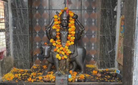 बड़ौदामेव मे धूमधाम से मानाई श्री शनि महाराज की जयंती