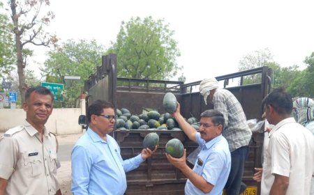 हानिकारक रसायनों के प्रयोग की आशंका के चलते तीन दिन में लिए फलों के 49 नमूने